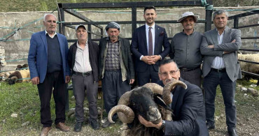 Yüksekova'da Kurban Bayramı Hareketliliği