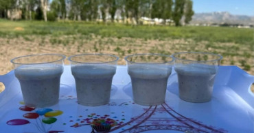 Yüksekova’da tarımda yeni dönem: Yoncalı köyünde ilk ticari salep hasadı yapıldı
