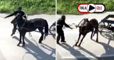 Yükü Çekemeyen Atı Sokak Ortasında Kırbaçladı