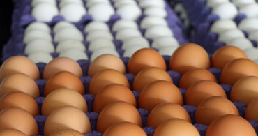 Yumurta fiyatları cep yakıyor: Bir tanesi 5 TL oldu! Yumurta adedi değiştirildi