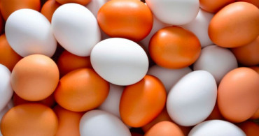 Yumurta Üreticilerine Bir 'Kapı' Kapandı Başka Kapılar Açılıyor