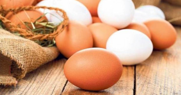 Yumurtaları Kartonundan Çıkarmak Doğru mu?