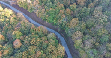 Yunt Dağı Sonbahar Renklerine Büründü