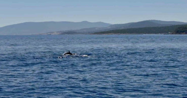 Yunuslar Muğla Valisi Akbıyık'ı Selamladı