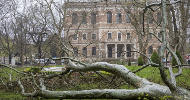 Zagreb'de Şiddetli Fırtına Okulları Tatil Etti