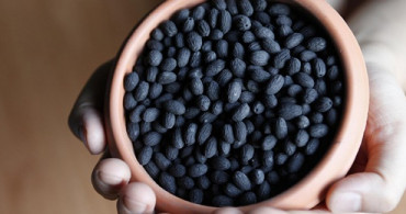 Zeytin Çekirdeği Yutmak