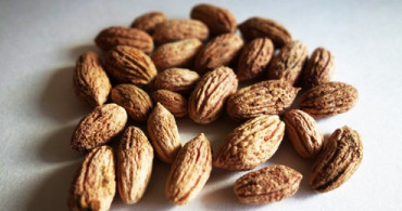 Zeytin Çekirdeğinin Faydaları Nelerdir?