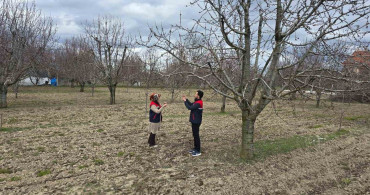 Zirai Don Riskine Karşı Meyve Bahçelerinde Kontroller Devam Ediyor