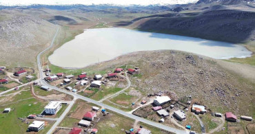 Zirin Gölü'nde Yeniden Doğal Hayat