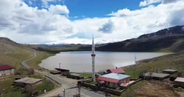 Zirin Gölü'nde Yeniden Doğal Hayat