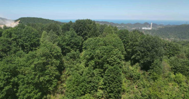 Zonguldak Ormanlarının Bahar Güzellikleri Dron ile Görüntülendi