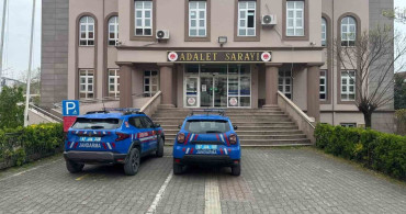 Zonguldak'ta evde kenevir yetiştiren iki şüpheli yakalandı