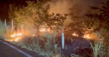 Zonguldak’ta fındık bahçelerinde çıkan yangınlar söndürüldü