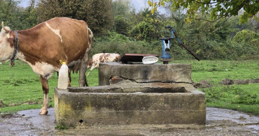 Zonguldak'ta Su Kuyusunda Bulunan Genç Kızın Ölümünde Şüpheli Yakalandı