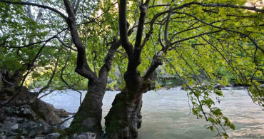 Zore Kanyonu ve Şelalesi: Doğanın Gizli Cenneti