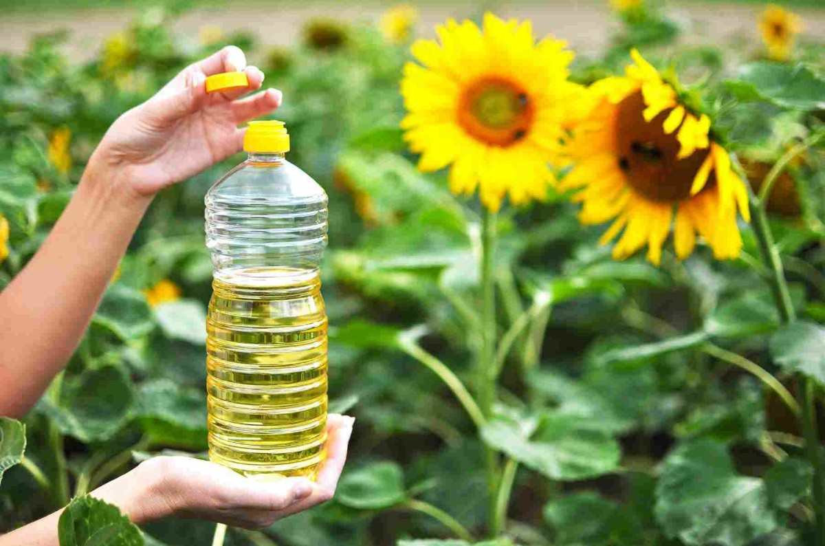 4 litre ayçiçek yağı 49,54 TL