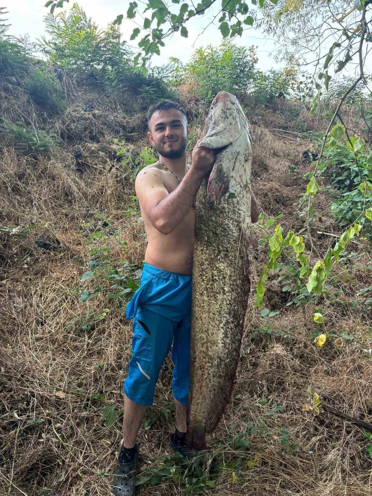 40 KİLOLUK DEV YAYIN BALIĞI YAKALANDI