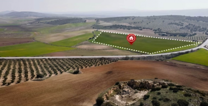 30 arsa %20 indirimli satışa çıkarıldı! Nisan 2024 kampanyasını neşe saçıyor