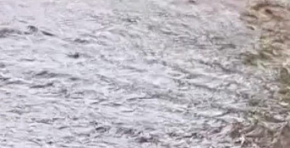 Amasya'da Şiddetli Yağmur Köy Yollarını Sular Altında Bıraktı