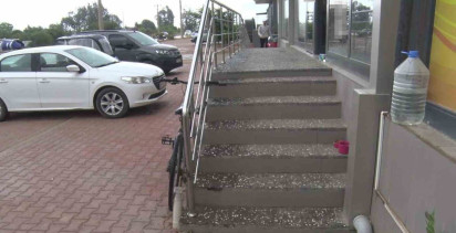 Antalya'da Yabancı Şahıs Hayvanlara Şiddet Uyguladı