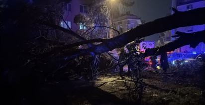 Aydın'da Fırtına Nedeniyle Ağaç Devrildi, İki Kişi Yaralandı