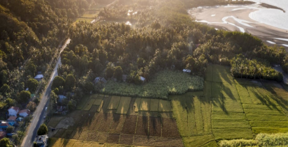 Aylık gıda masrafına tarla alacaksınız! 81 ilde geçerli olacak