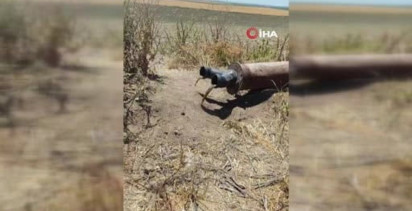 Diyarbakır'da sulama borusundan porsuk çıktı