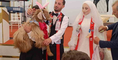 Düğün Geleneğinde Sıradışı Hediye: Keçi