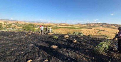 Elazığ'da çıkan arazi yangını itfaiye ekipleri tarafından söndürüldü
