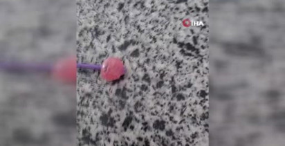 Elazığ'da Şekerin İçinden Taş Çıktı