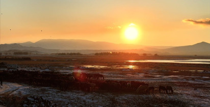 Hürmetçi Sazlığı'nda Yılkı Atlarının Büyüleyici Gün Batımı Görüntüleri