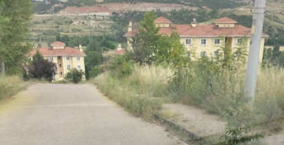 Kaldırımlarda büyüyen otlar, vatandaşlarda yılan korkusuna sebep oluyor