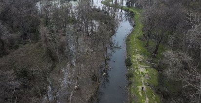 Karacabey Longozu Yağışlarla Canlandı