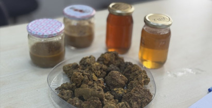 KTÜ APİMER ile Arı Ürünleri Araştırmaları Başlıyor