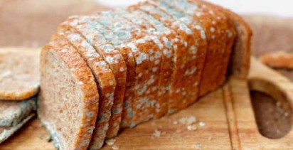 Ramazanda ekmeğin küflenmesi önlemenin yolları!