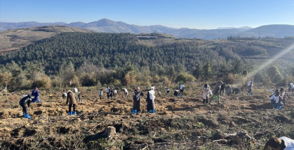 Samsun'da Hatıra Ormanı Oluşturuldu