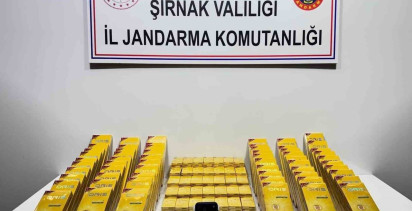Şırnak'ta Jandarma Operasyonları: Kaçakçılığa Geçit Yok