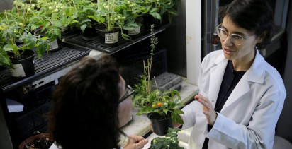 Uzayda Tarım: Türk Bilim İnsanları Ay ve Mars Regolitlerinde Domates Yetiştiriyor