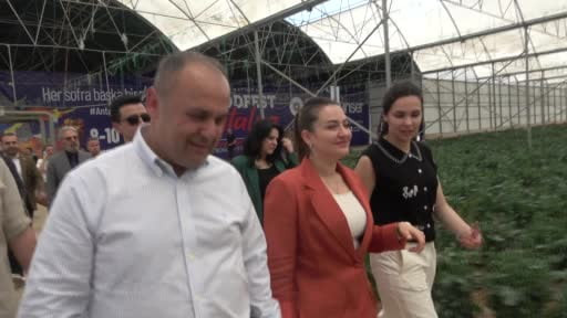 5. Uluslararası Antalya FoodFest Gastronomi Festivali Akdeniz yeşillikleri hasadıyla başladı