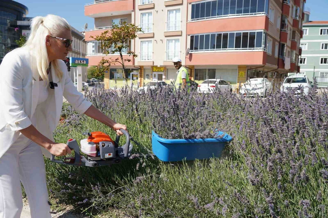 60 ÜLKEDEN 381 PROJE ARASINDA BİLECİK VE İSTANBUL YER ALDI