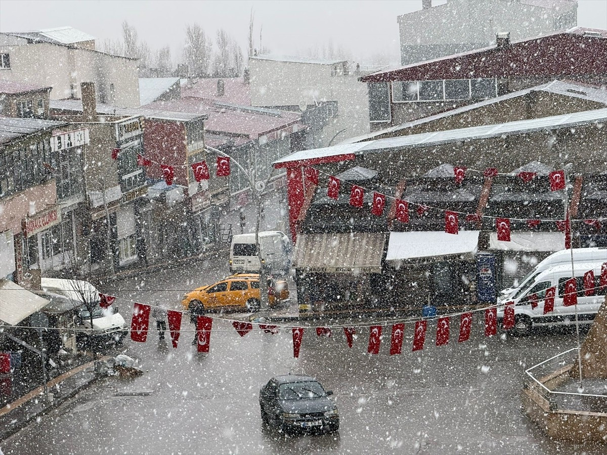 Van'ın Başkale ilçesinde kar etkili oldu.