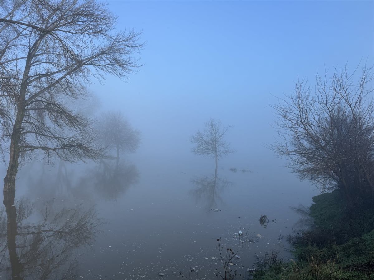 Edirne'de Meriç Nehri'nin debisi iki gün önceki ölçüme göre neredeyse 3 kat arttı.
Kaynağını...