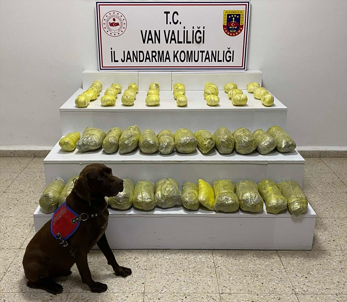 Van'ın Başkale ilçesinde 42 kilo 285 gram uyuşturucu ele geçirildi.
 