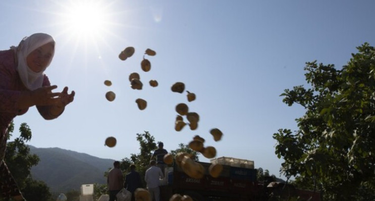 Aşırı sıcaklar alarm veriyor: 1 milyardan fazla kişinin geçimi tehdit altında