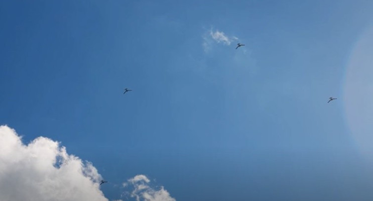 Baykar’ın K2 Kamikaze İHA’sı Sürü Uçuş Testini Başarıyla Tamamladı