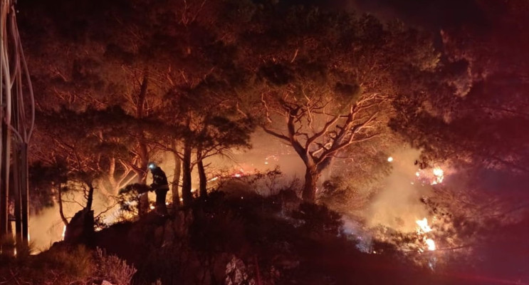 Bodrum'da Orman Yangını Kontrol Altına Alındı