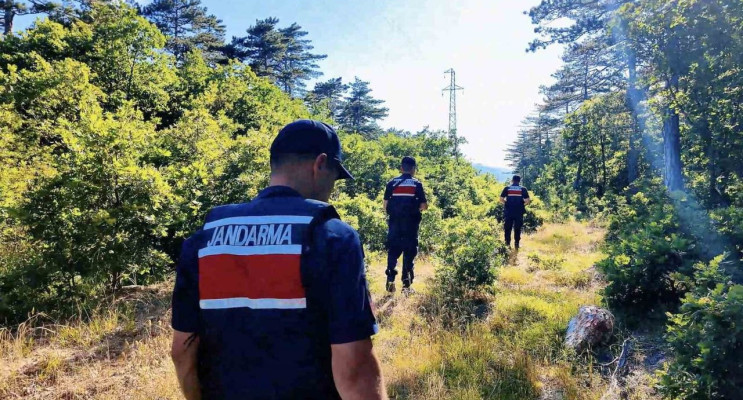 Çanakkale'de jandarma ekipleri orman yangınlarına karşı sahada
