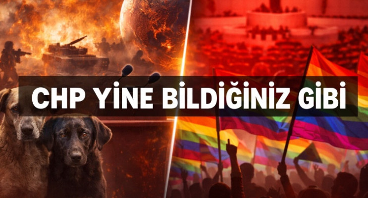 Dünya alarm verirken CHP’ninı gündemi: Hayvanlar ve LGBT