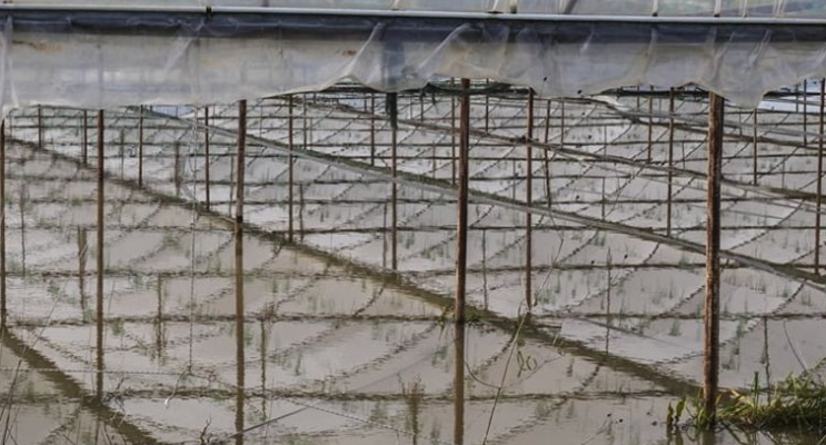 İzmir'de Şubat Ayı Yağış Rekoru: 6 Günde 106,4 Kilogram