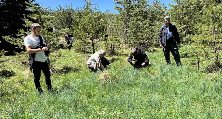 Kastamonu'da 19 Mayıs Coşkusu: Gençler İntaş Mağarası’nda Yürüyüş Yaptı